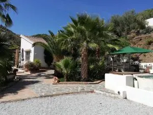 Eduardo - Carraspite