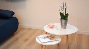 Silesia Modern Nest