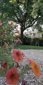 La Cuverie du Château