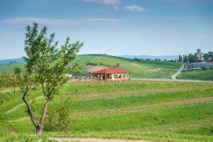 Sarea-n Bucate (Crama la Salina)