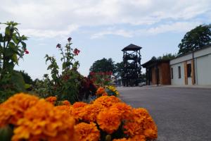 Kuivižu Krogs - motelis