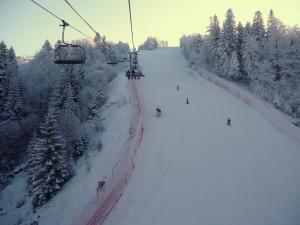 Villa Elitte Predeal