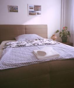 Apartment Anna Vysehrad