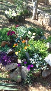 Apartments Villa Marija