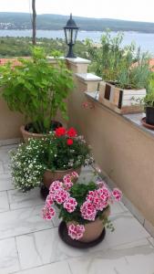 Apartments Villa Marija 