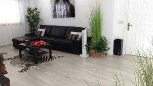 Plaza San Marcos CASCO HISTORICO