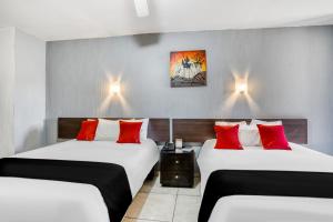 Guadalajara Express Tonala