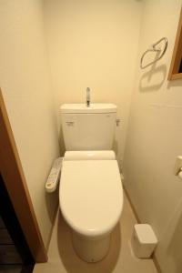 Kyo Maimai Near World Heritage Toji Temple