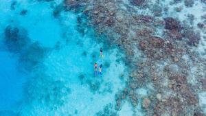 Gaafu Alifu Atoll Meradhoo Island, 17100, Maldives.