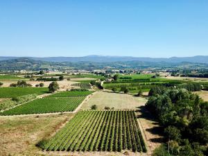 Maisons de vacances Le petit moulin : photos des chambres