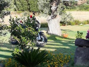 Agriturismo Is Solinas img43