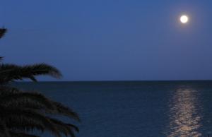 Ajò Faci a Mari img25