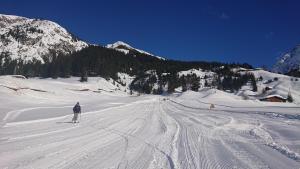 Bergbauernhof Pabulariu