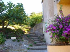 Maisons de vacances 1 Trova-Ranocchietto : photos des chambres