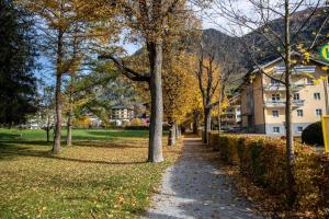 Apartment Hava