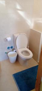 Safari Camp Bahariya Oasis