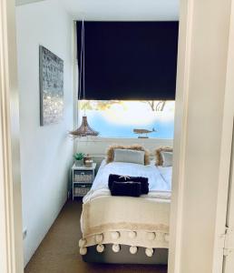 Apartment Sunflower Zandvoort