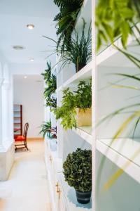 Casa Modernista "La Trinidad"