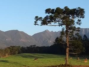 Fazenda Fernandes Pousada