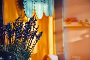 The Harbor Front เกาะล้าน