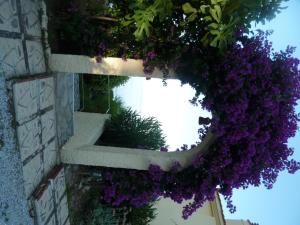 Milia Bay Hotel Apartments Alonissos Greece