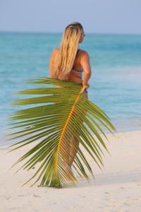Rasdhoo Wave Blue