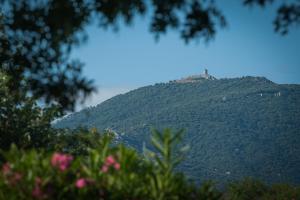 Campings Camping Le Mediterranee Argeles - Domaine pietonnier : photos des chambres