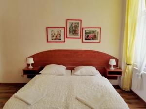 Accommodation in Bozí Dar