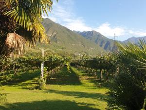 Twin Room with Shared Toilet