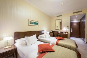 Standard Double or Twin Room with City View room in Hotel Devín