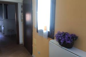 Appartamento Via Montenero