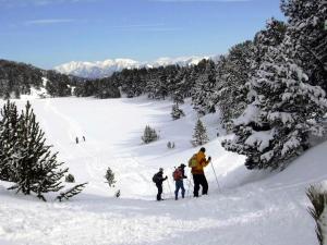 Villages vacances Le Chalet du Ticou : photos des chambres