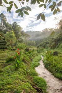 เลาลีฮิลล์รีสอร์ท Laulee hill resort