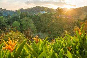 เลาลีฮิลล์รีสอร์ท Laulee hill resort