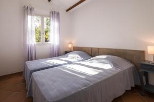 Domaine de Pianiccia photo 6