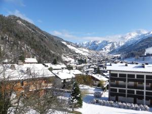 SAPAUDIA G - Appartement skis aux pieds, belle vue - Parking
