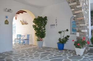 Akteon Hotel Paros Greece