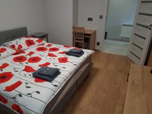 APARTAMENTY Kudowa Zdrój - Słone