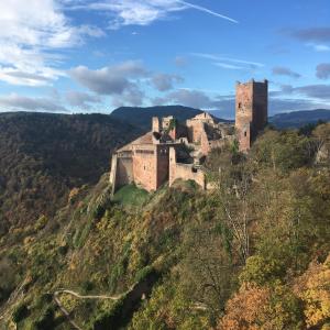 Appartements Le Gite du Moulin : photos des chambres