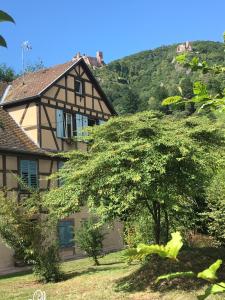 Appartements Le Gite du Moulin : photos des chambres