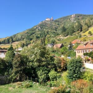 Appartements Le Gite du Moulin : photos des chambres