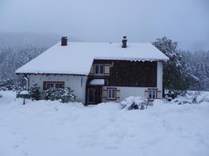 LES CŒURS DU TILLEUL