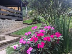 Mansão Adonai nas Cachoeiras de Penedo