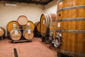 Agriturismo RiDaRoca