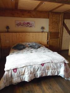 Appartements Chalet l'aubepine residence B&B : photos des chambres