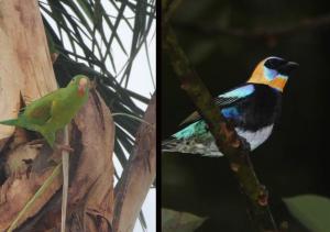 Golfito Maison Dhôtes