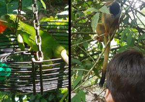 Golfito Maison Dhôtes