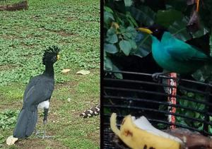 Golfito Maison Dhôtes