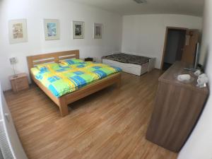 Apartement Skalica mesto trdelníka a vína Skalica Slovakkia