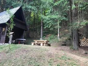 Dotik gozda - 采尔克诺